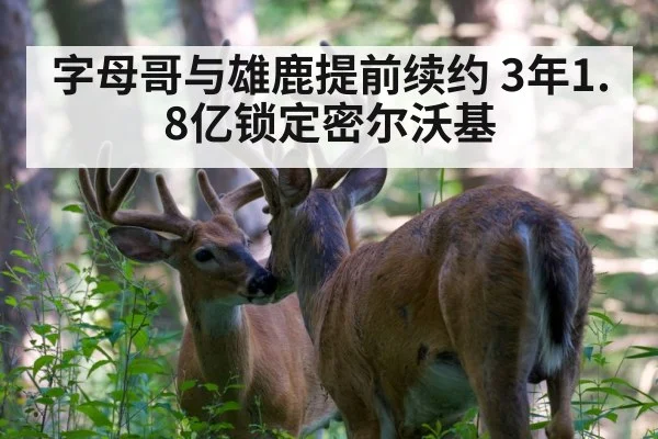 字母哥与雄鹿提前续约 3年1.8亿锁定密尔沃基