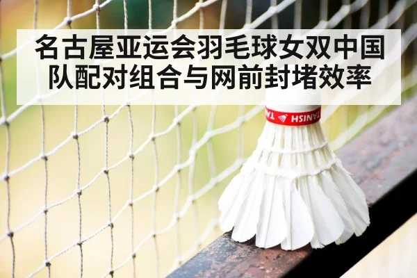 badminton net shot close up